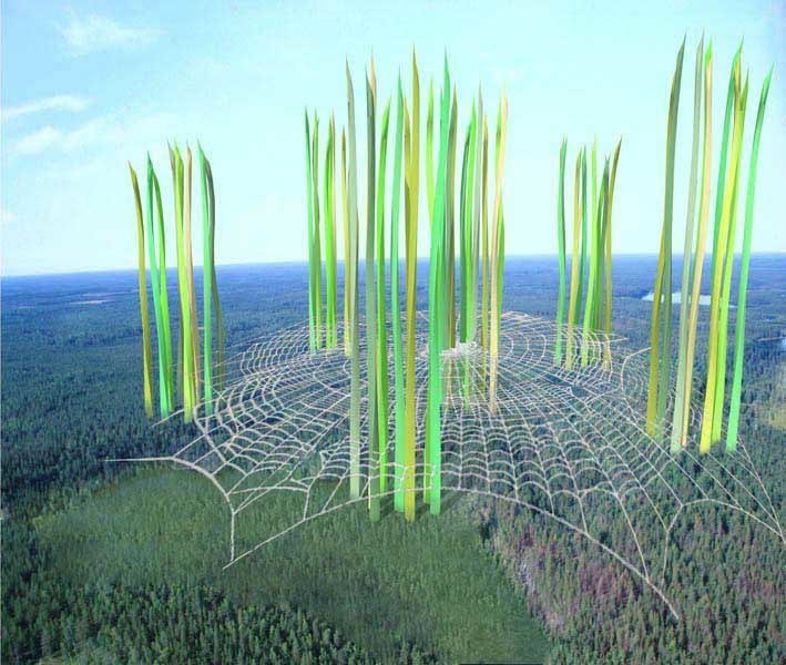 Studio Study gallery image